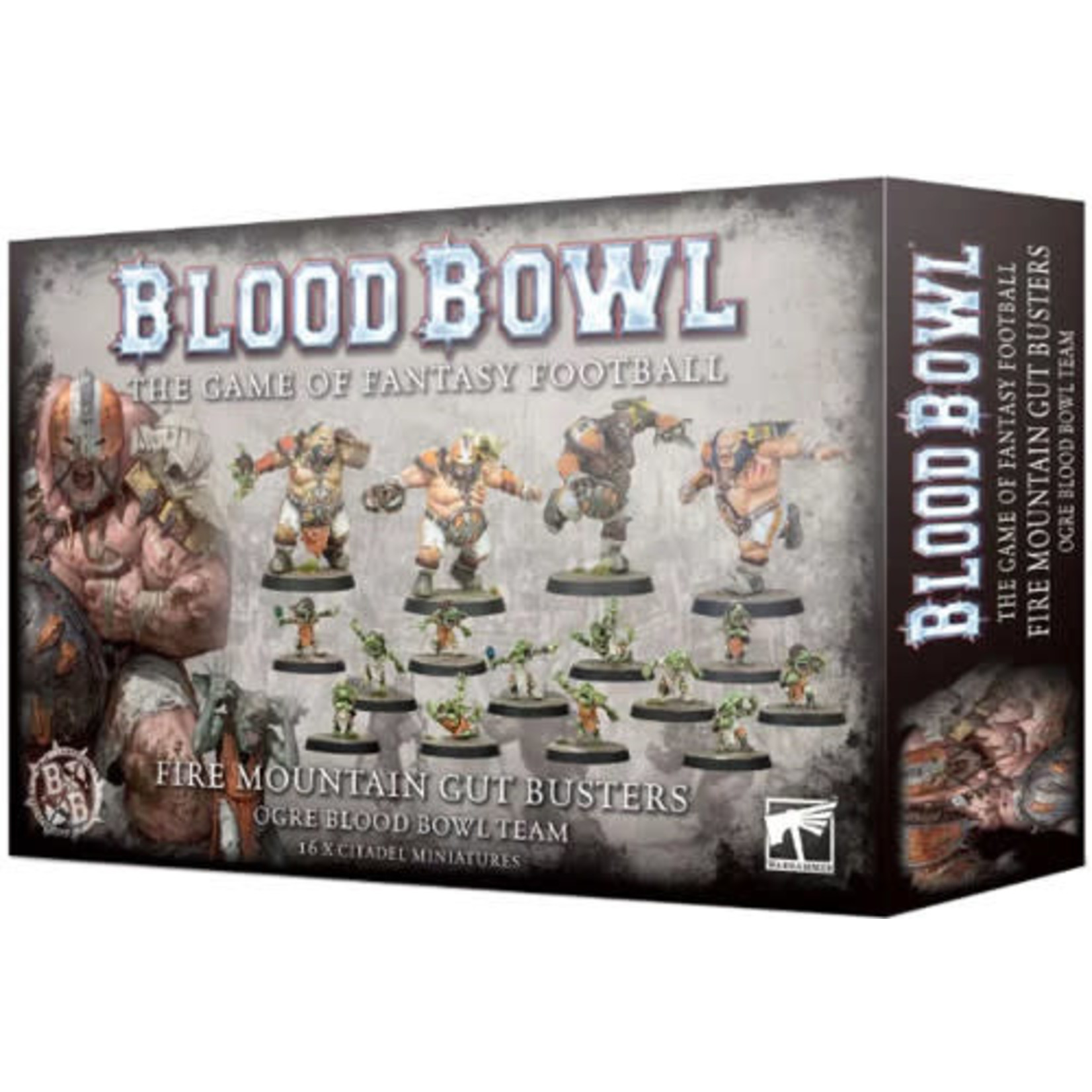 Blood Bowl: Ogre Team