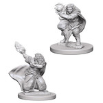 D&D Unpainted Minis: Dwarf Female Wizard