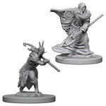 D&D Unpainted Minis: Elf Male Druid (Wave 4)