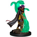 Wizards of the Coast D&D Premium Painted Figure: W1 Female Tiefling Sorcerer