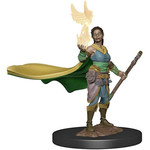 Wizards of the Coast D&D Premium Painted Figure: W1 Female Elf Druid