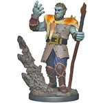Wizards of the Coast D&D Premium Painted Figure: W3 Male Firbolg Druid
