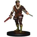 Wizards of the Coast D&D Premium Painted Figure: W4 Male Human Rogue