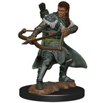 Wizards of the Coast D&D Premium Painted Figure: W4 Male Human Ranger