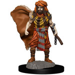 Wizards of the Coast D&D Premium Painted Figure: W4 Male Human Druid