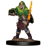 Wizards of the Coast D&D Premium Painted Figure: W5 Male Elf Fighter