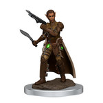 Wizards of the Coast D&D Premium Painted Figure: W7 Female Shifter Rogue