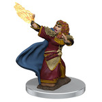 Wizards of the Coast D&D Premium Painted Figure: W7 Female Dwarf Wizard