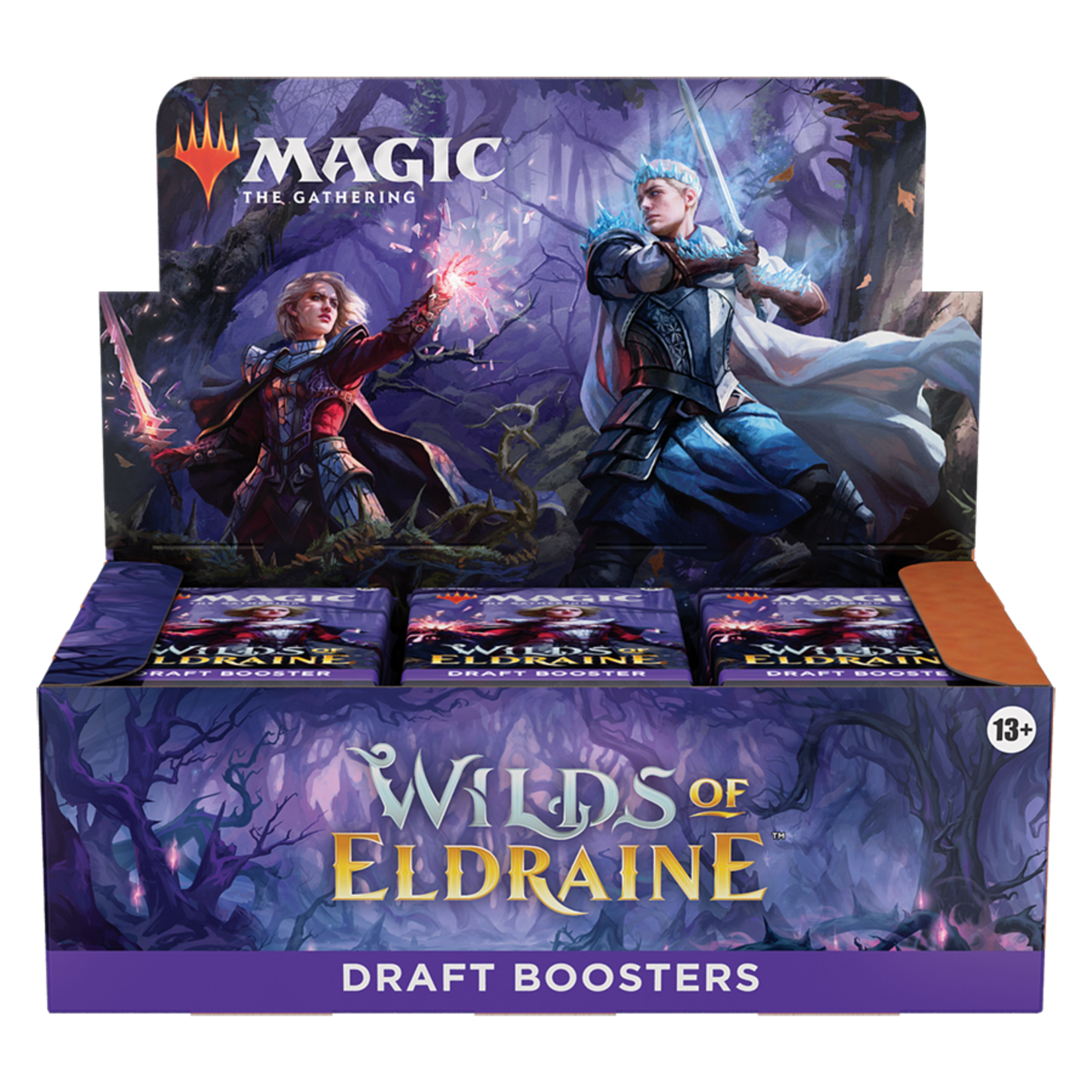Wizards of the Coast Wilds of Eldraine Draft Booster Box