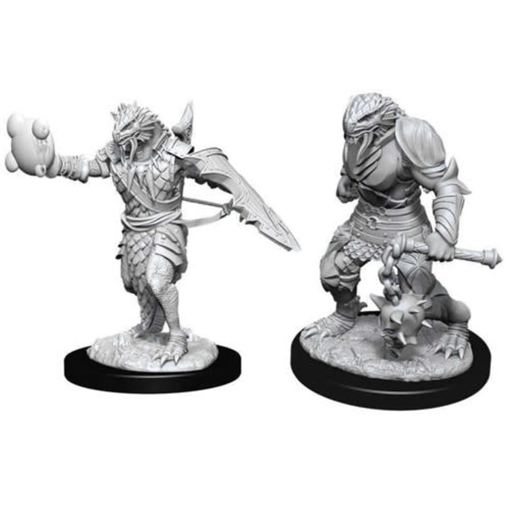 D&D Unpainted Minis: Male Dragonborn Paladin (W11)