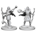 Pathfinder Deep Cuts: Elf Male Sorcerer