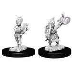 Pathfinder Deep Cuts: Gnome Male Bard
