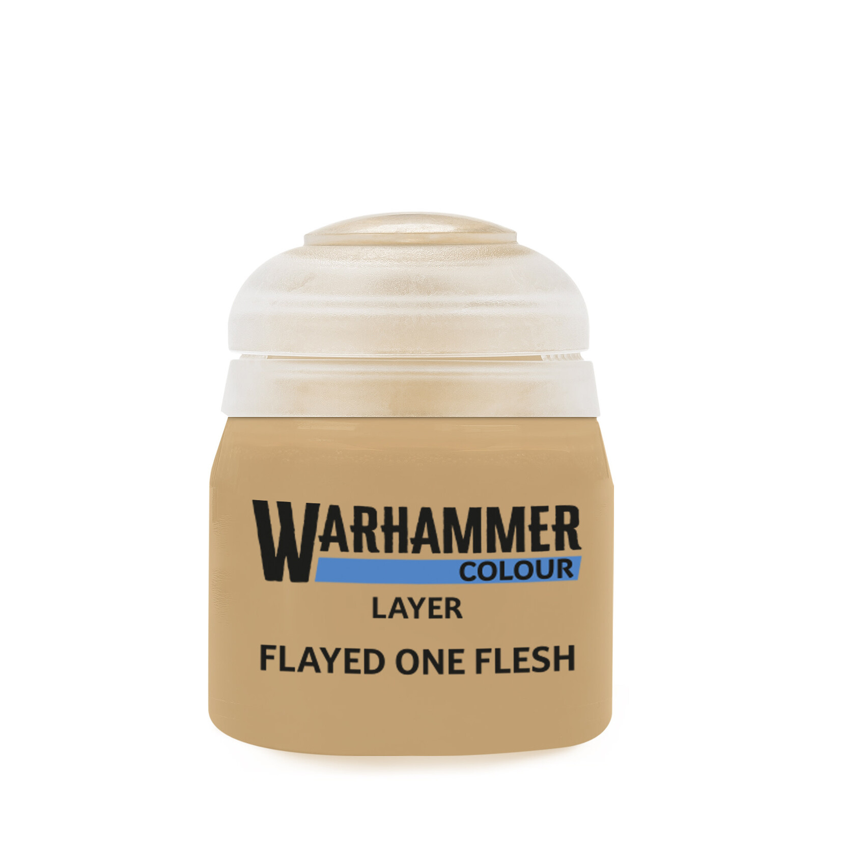 Games Workshop Warhammer Flayed One Flesh Layer