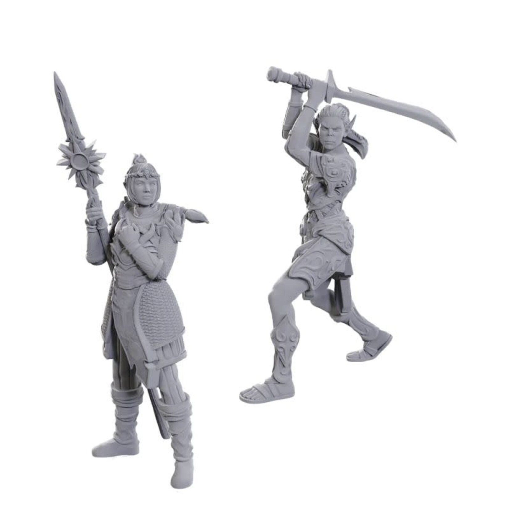 D&D Baldurs Gate 3 - Laezel and Shadowheart