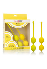 KEGAL TRAINING SET LEMON