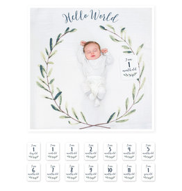 Baby's 1st Year - Hello World Wreath