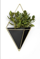 Trigg Wall Display LG - Blk/Brs