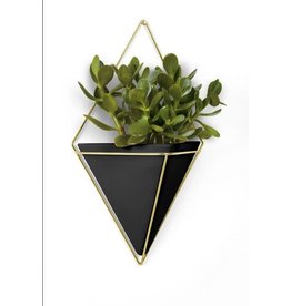 Trigg Wall Display LG - Blk/Brs