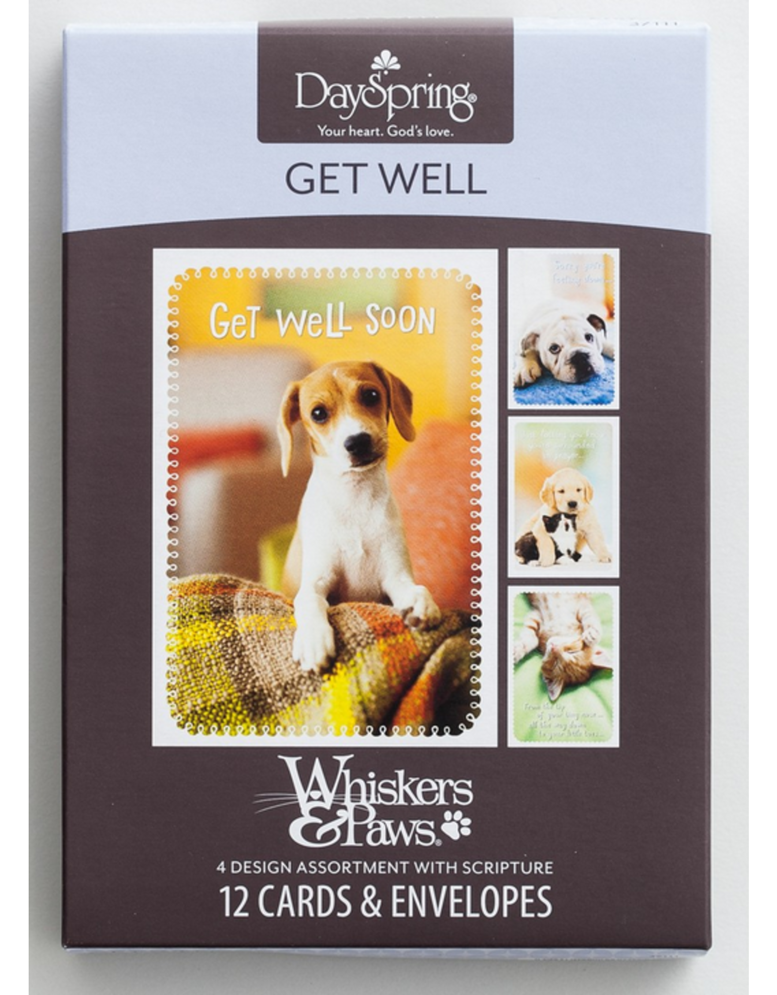 Get Well - Whiskers & Paws -  Boxed Cards