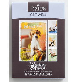 Get Well - Whiskers & Paws -  Boxed Cards