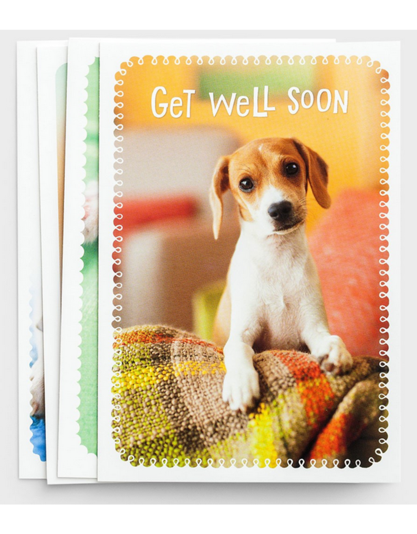 Get Well - Whiskers & Paws -  Boxed Cards