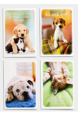 Get Well - Whiskers & Paws -  Boxed Cards