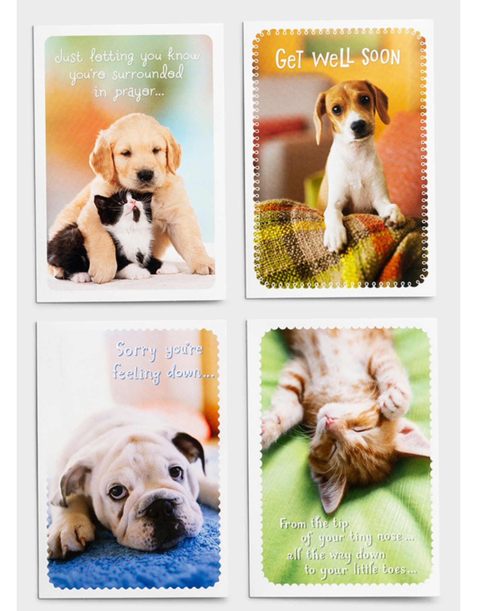 Get Well - Whiskers & Paws -  Boxed Cards