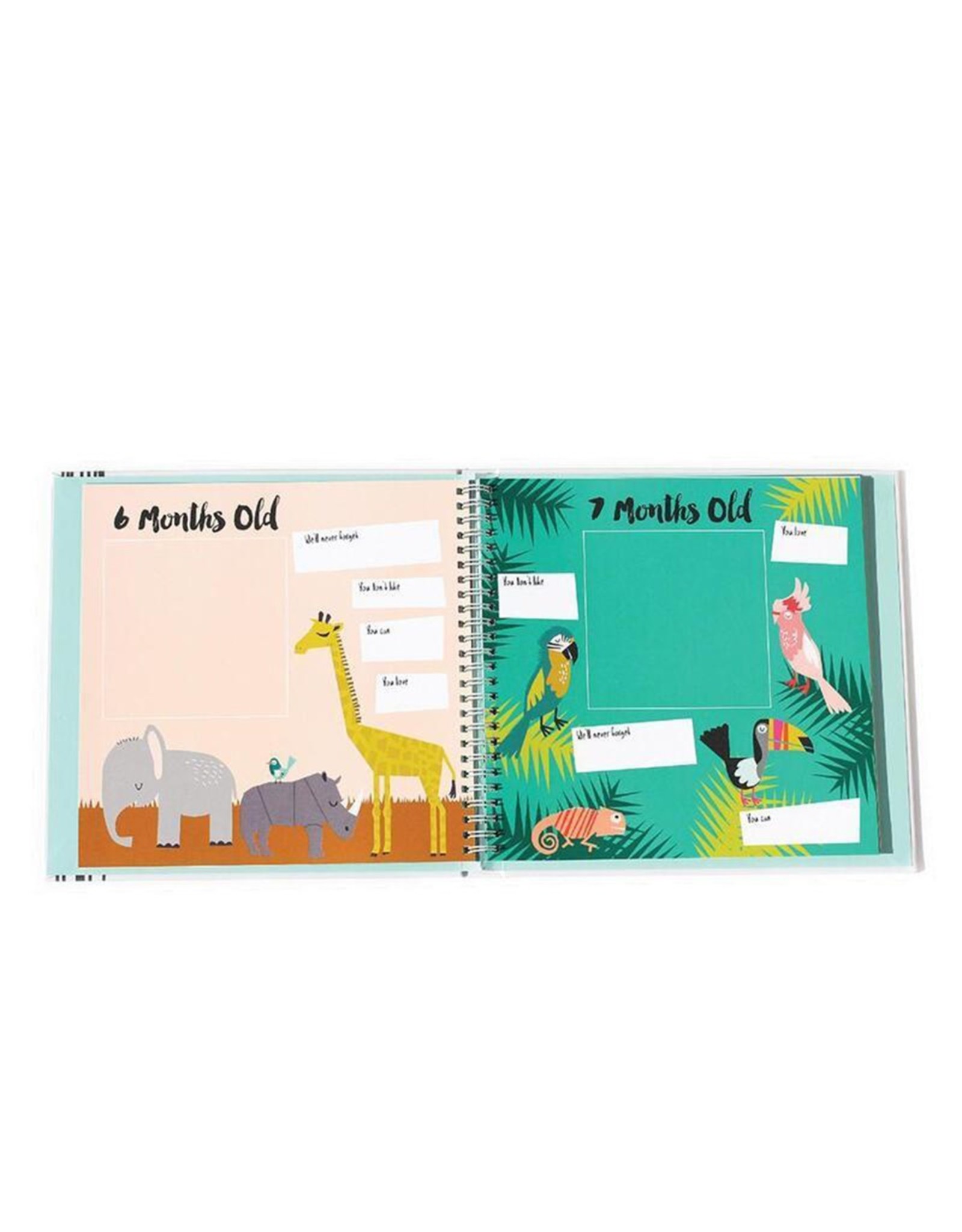 Little animal memory book