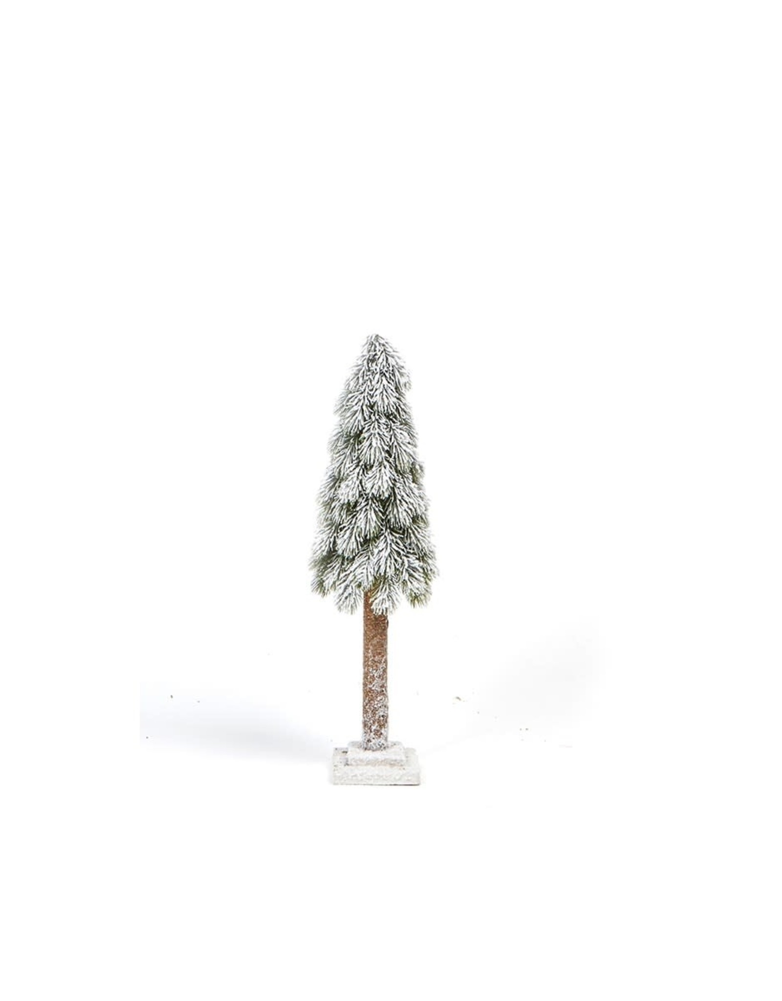 Conical Evergreen Tree Large Green