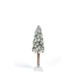 Conical Evergreen Tree Large Green