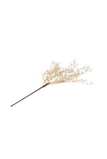 beige fern branch