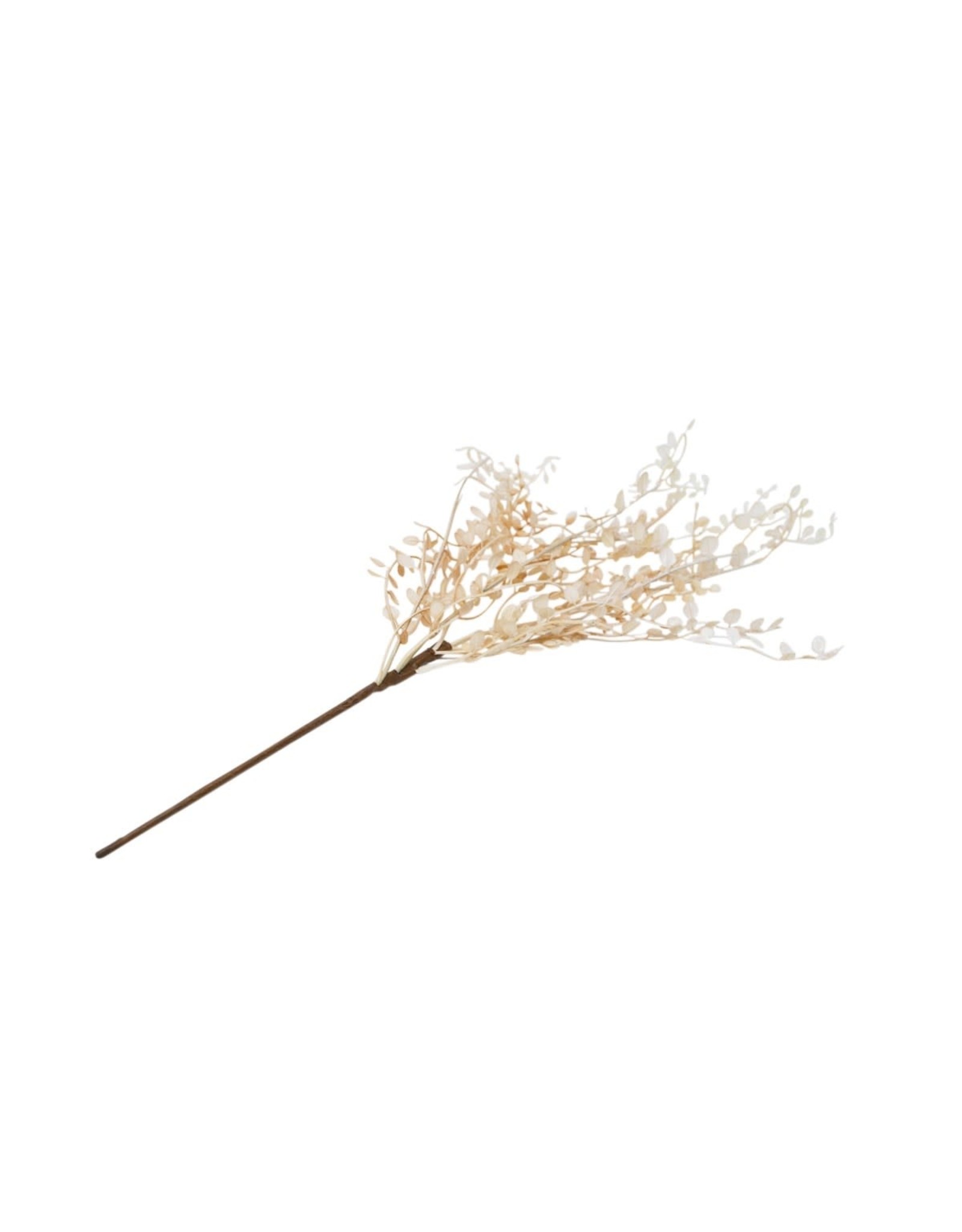 beige fern branch