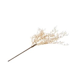 beige fern branch
