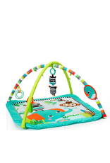 Zig zag safari activity gym