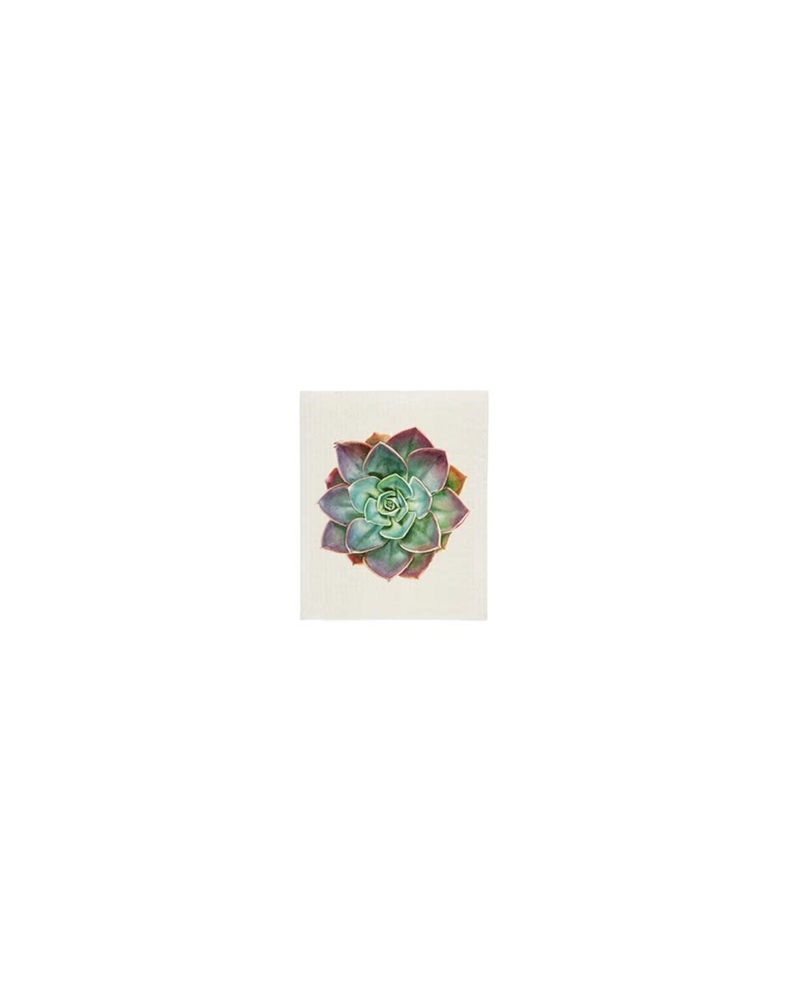 Green succulent sponge cloth