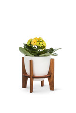 white pot with wooden stand,  4"