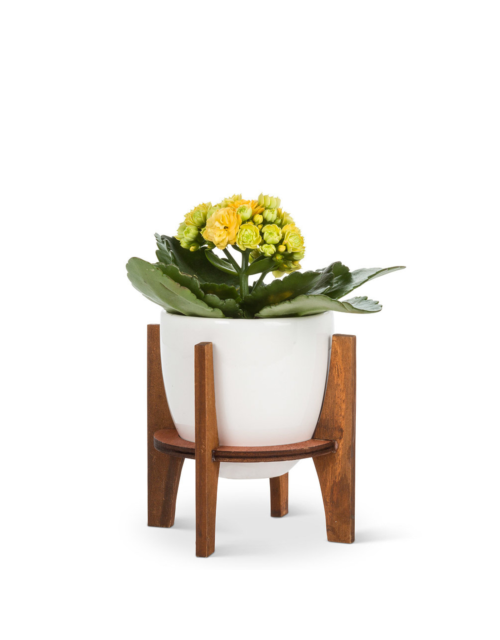 white pot with wooden stand,  4"
