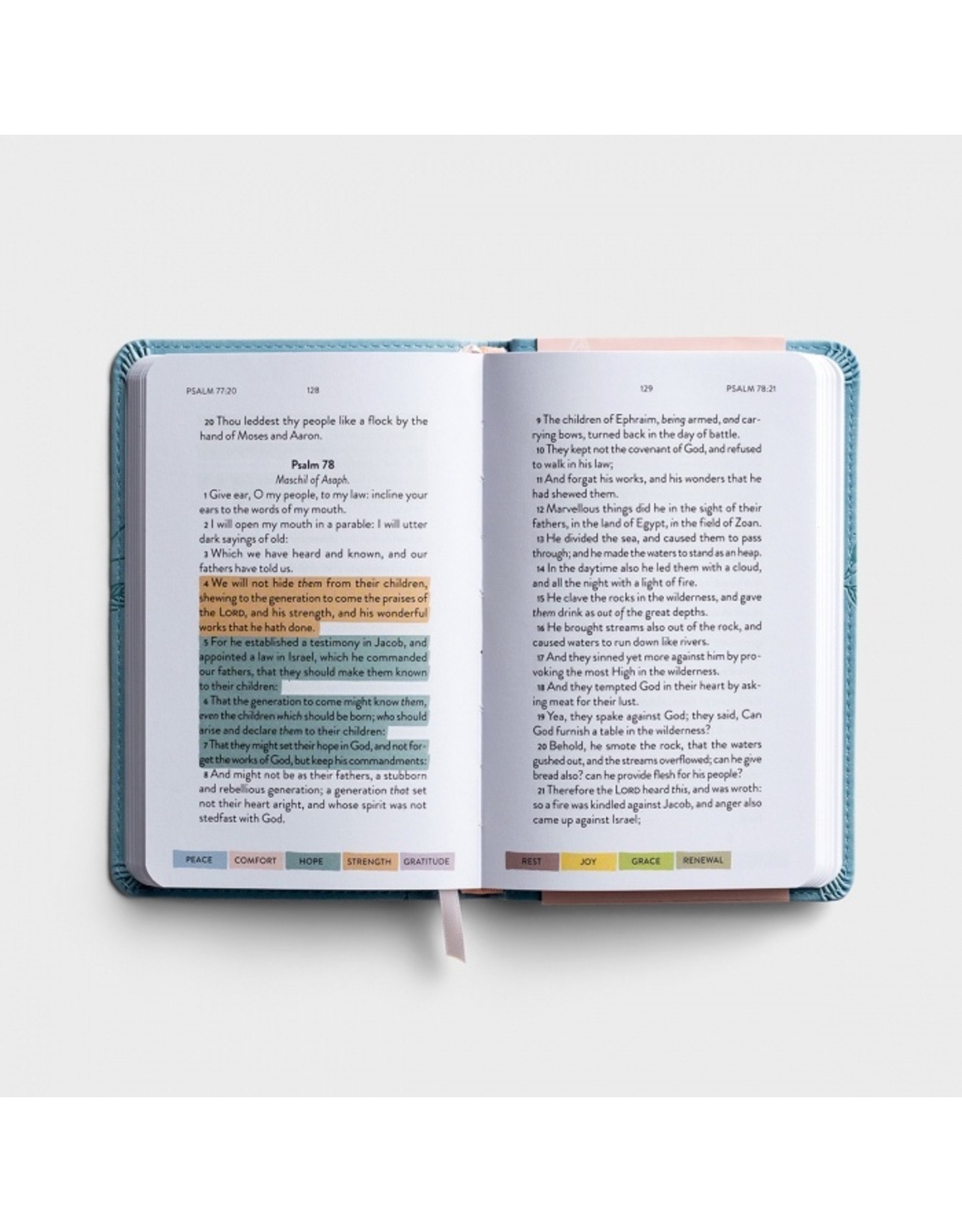 Sanctuary in the Psalms - KJV blue leather
