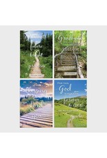 graduation path boxed cards