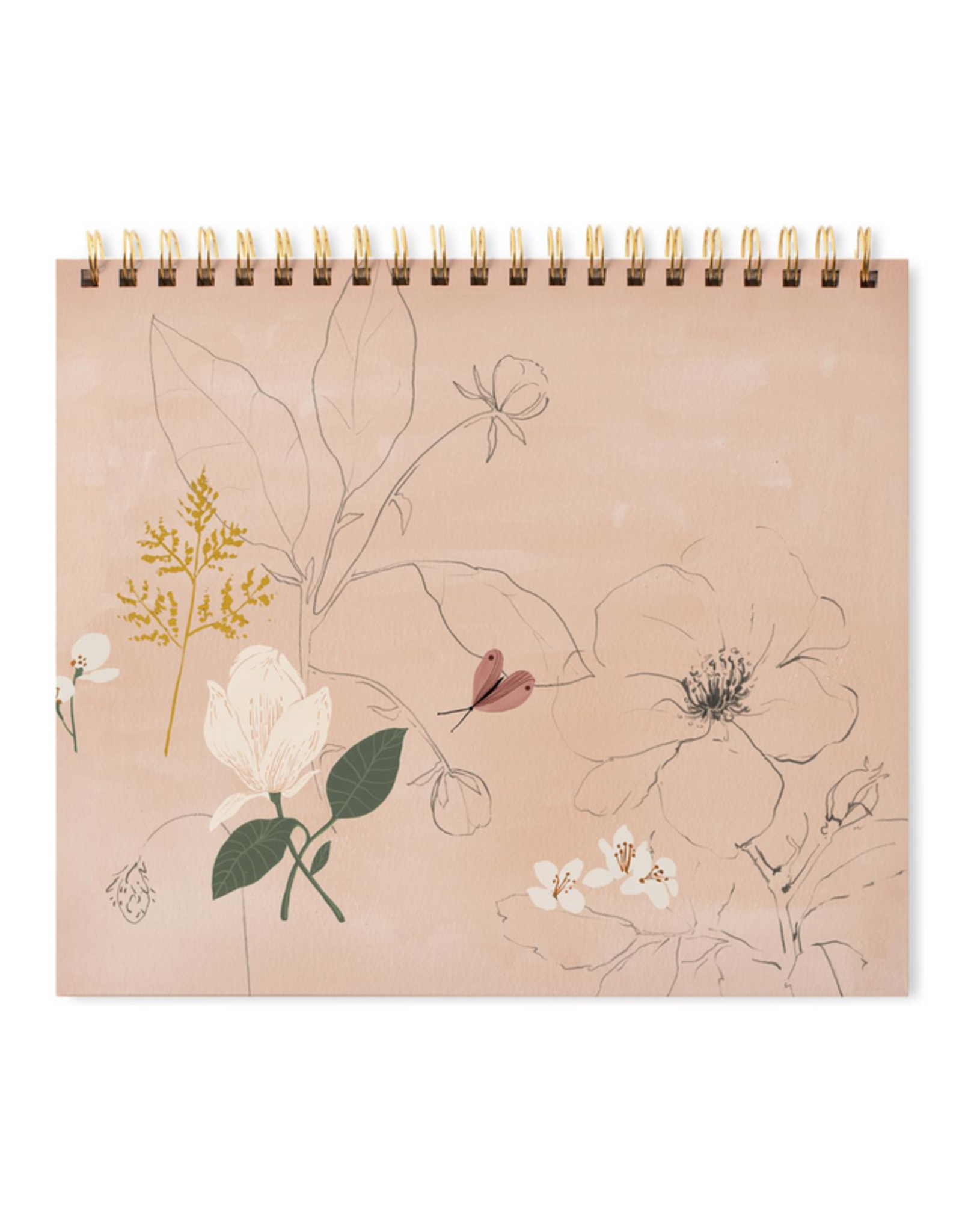 botanica sketchpad