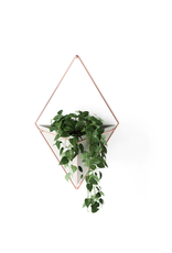 Trigg Wall Display LG - concrete