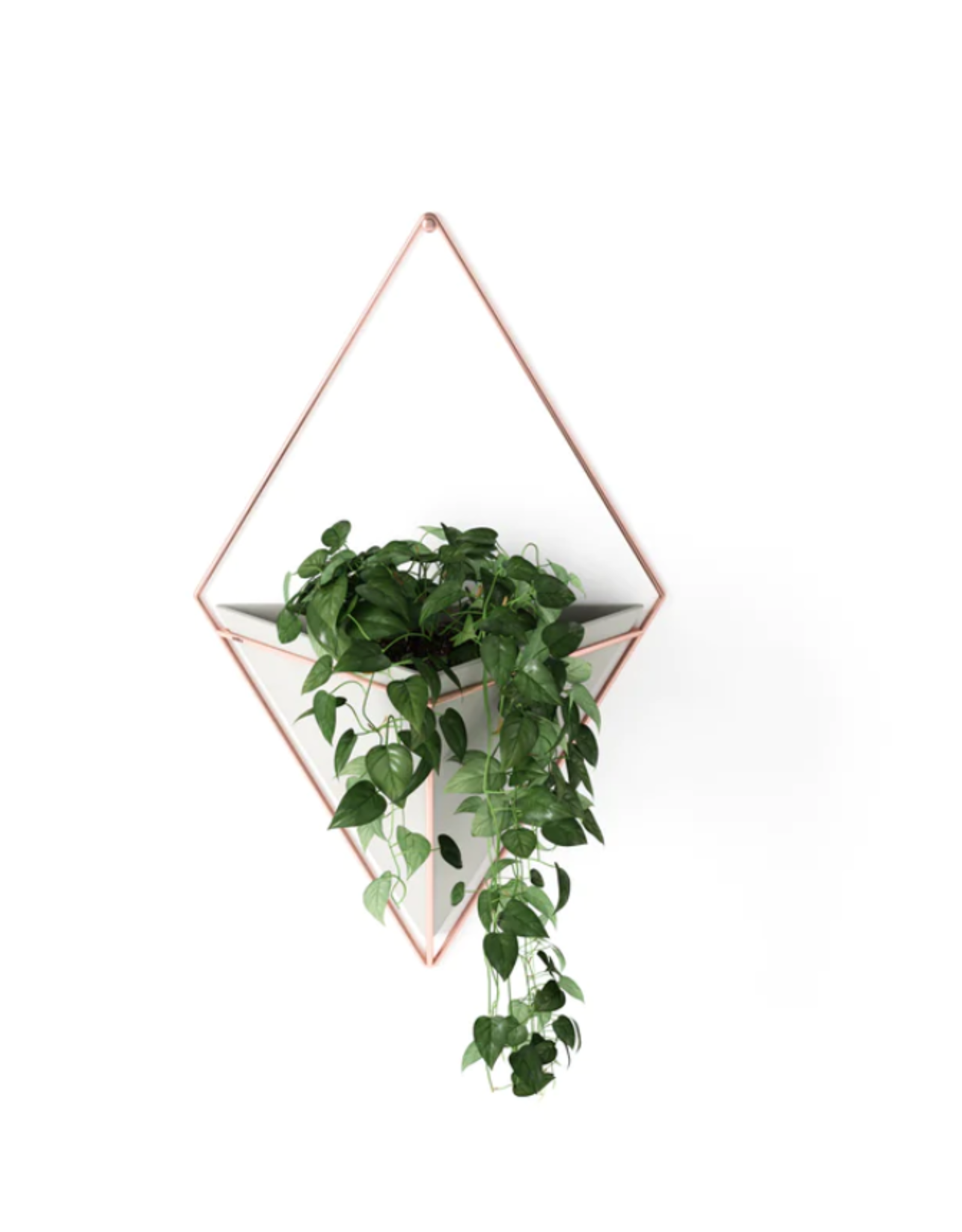 Trigg Wall Display LG - concrete