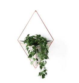 Trigg Wall Display LG - concrete