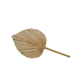 PALM LEAF DECO PALM LEAF DECO