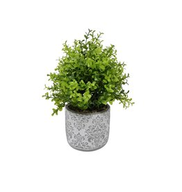 Grey and wite cement pot with Greenery