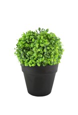 Greenery Brown Pot