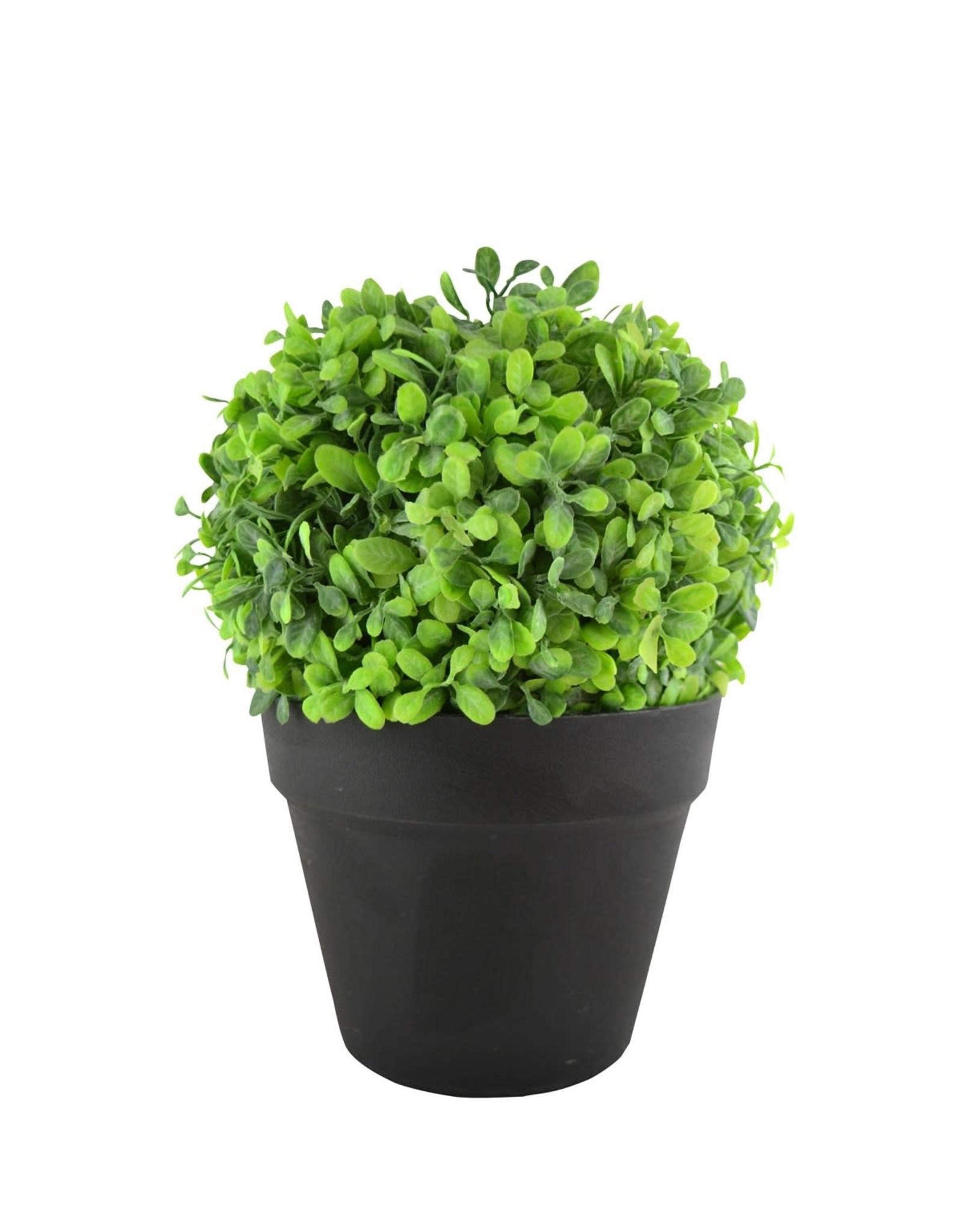 Greenery Brown Pot