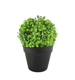 Greenery Brown Pot