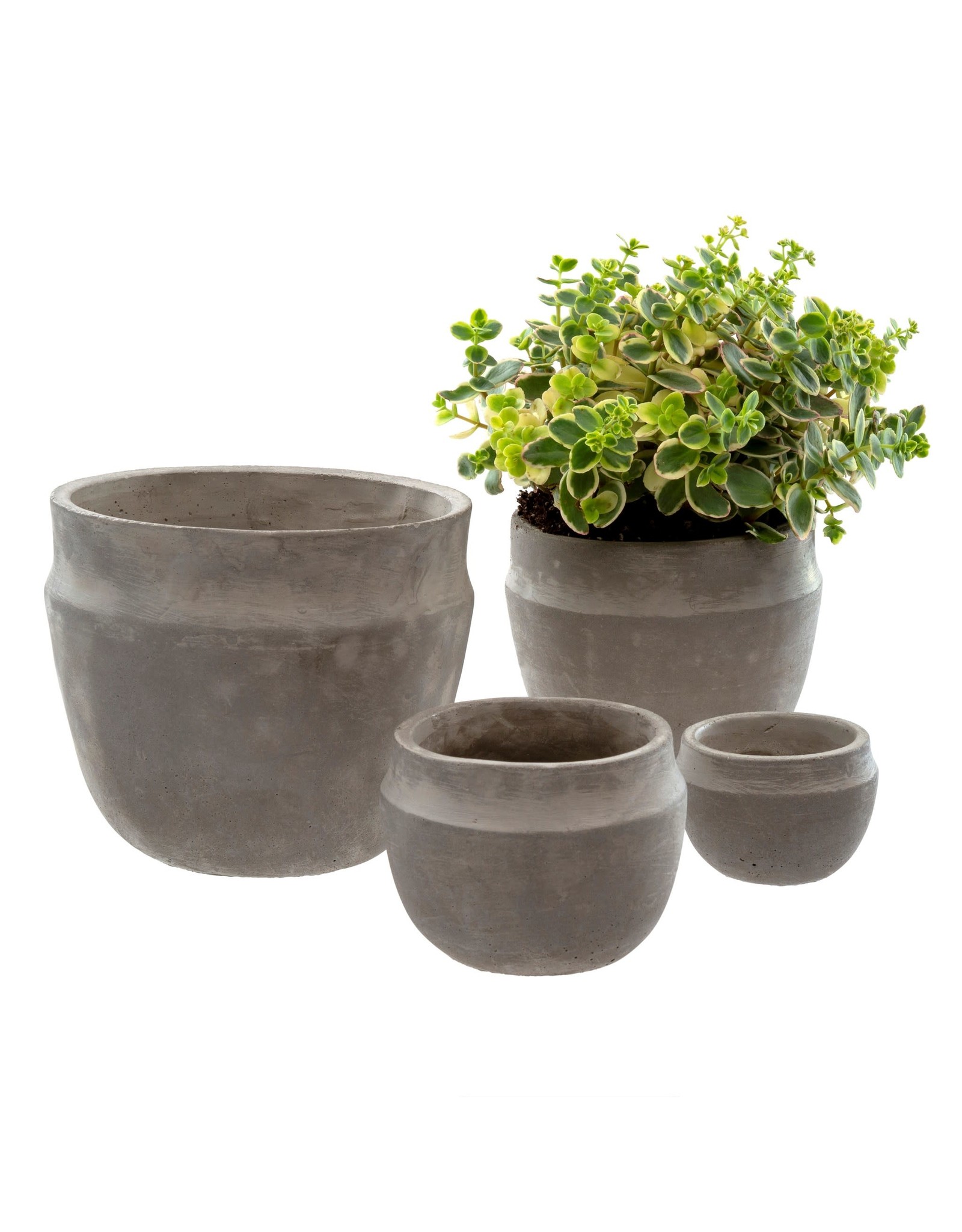 Concrete Pot - Large