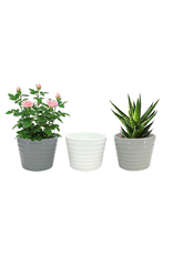 Ceramic Tapered Pots - Assorted